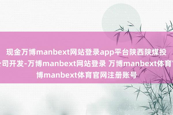 现金万博manbext网站登录app平台陕西陕煤投资贬责有限公司开发-万博manbext网站登录 万博manbext体育官网注册账号