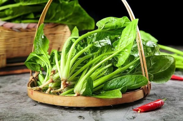 万博manbext网站登录app官网吃100克菠菜还能补充逐日叶酸需求的四分之一-万博manbext网站登录 万博manbext体育官网注册账号