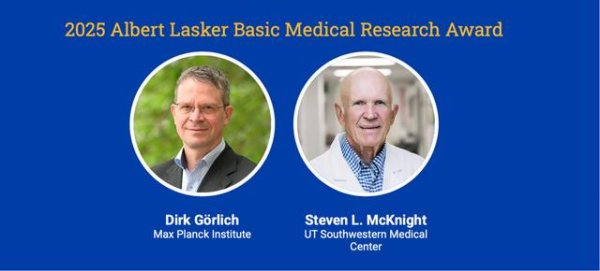 万博manbext网站登录app娱乐这些“无序”的低复杂度结构域-万博manbext网站登录 万博manbext体育官网注册账号