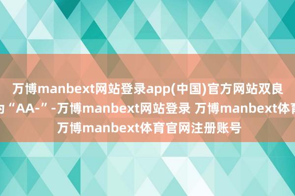 万博manbext网站登录app(中国)官方网站双良转债信用级别为“AA-”-万博manbext网站登录 万博manbext体育官网注册账号